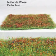blühende Wiese