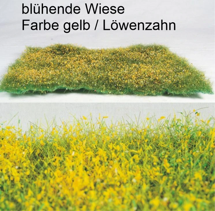 blühende Wiese