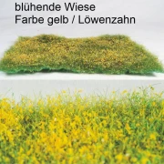 blühende Wiese