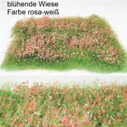 blühende Wiese