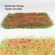 blühende Wiese