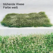 blühende Wiese