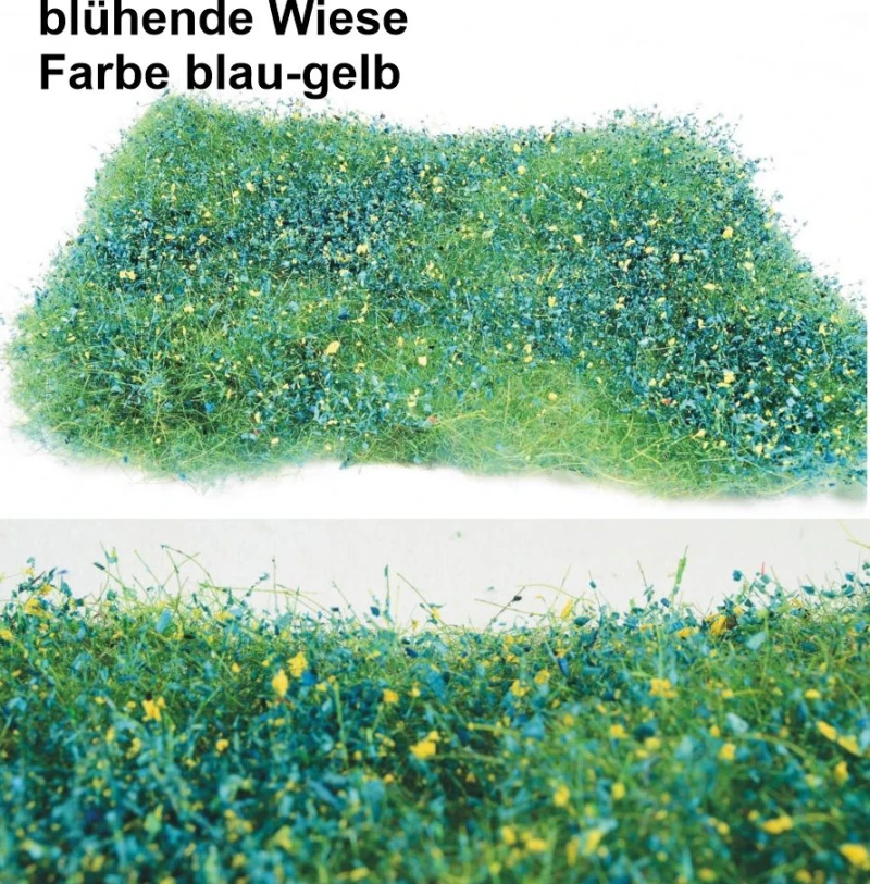 blühende Wiese
